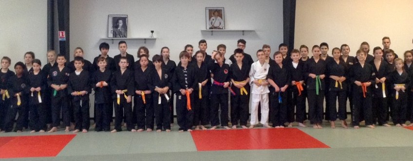 stage hapkido 12dec15 web3